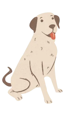 Dog vector