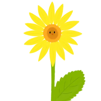 Sun flower