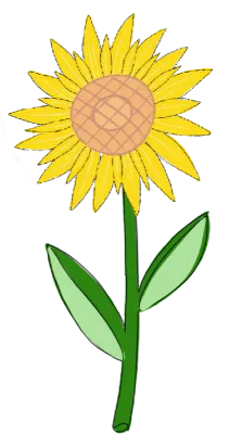 Sunflower5082