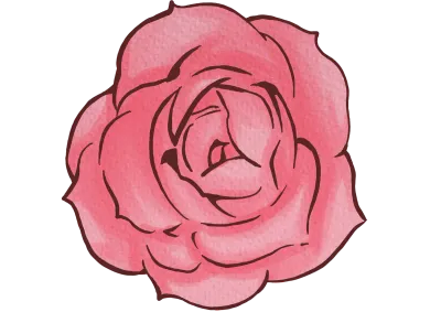 pink rose_flower.png