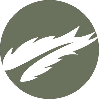 Feather Logo, Animal Wing Design, Vector Icon Template Simple