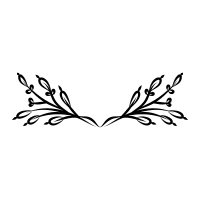 Flower border