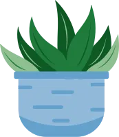 Cute House Plant