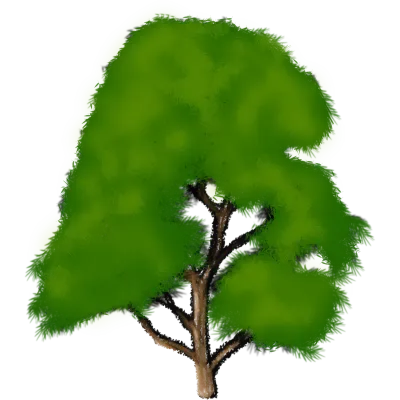 PNG tree