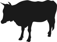 cow silhouette