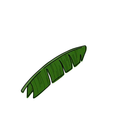 Banana leaf