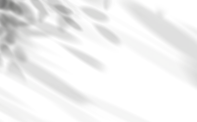 Leaves shadow overlay, isolated Branches leaves