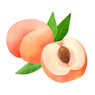복숭아