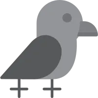Crow Icon