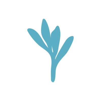 Floral hand drawn element. Cute flower or leaf with doodle style.