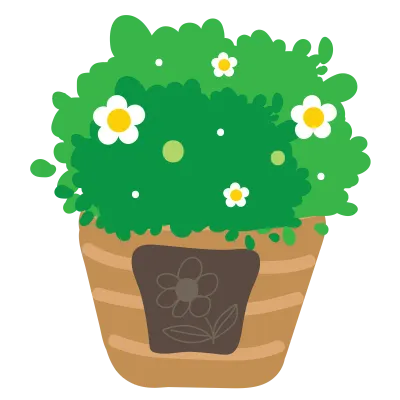 ornamental plants
