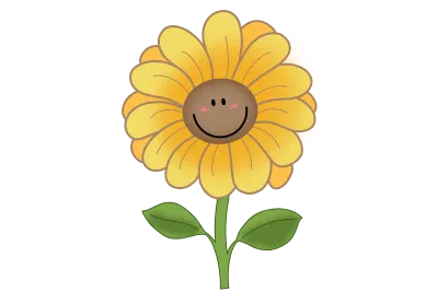Colorful and beautiful floral illustration