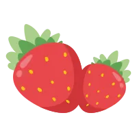 FRUIT
