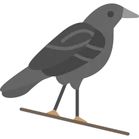 Crow Icon