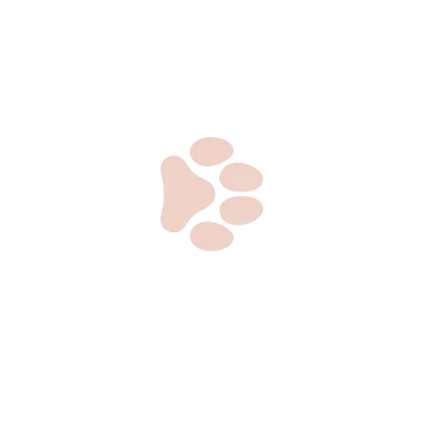cat feet