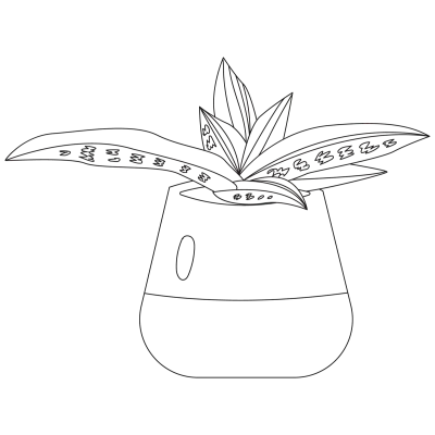 Succulents 1 Plant Outline 2D Illustrations