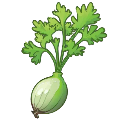Radish4_20230713133903