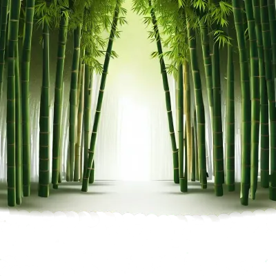 대나무