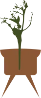 Plant Vase Aesthetic 