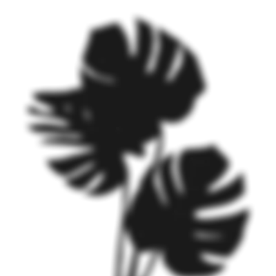 Leaf Shadow Corner