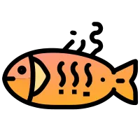 salmon life