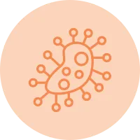Bacteria Icon