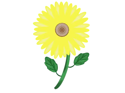 yellow sunflower