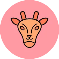 Giraffe Icon