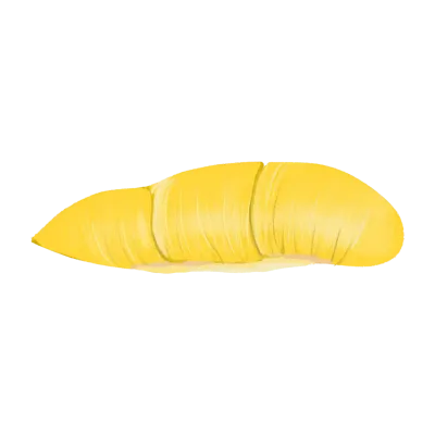 Durian meat