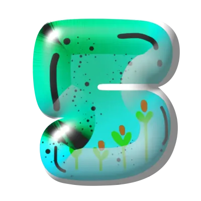 Number 5