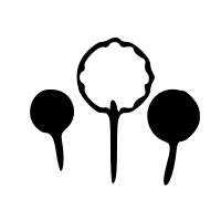 꽃과 벌