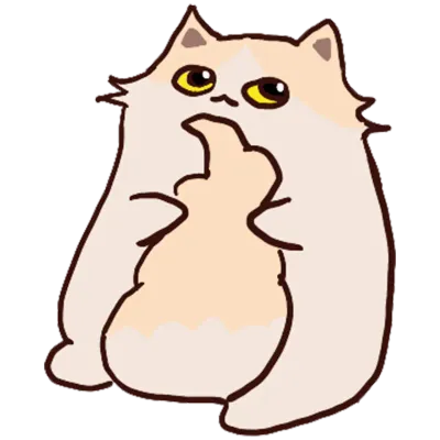 Cat Cream Set