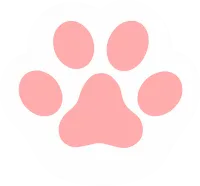 Cat paw