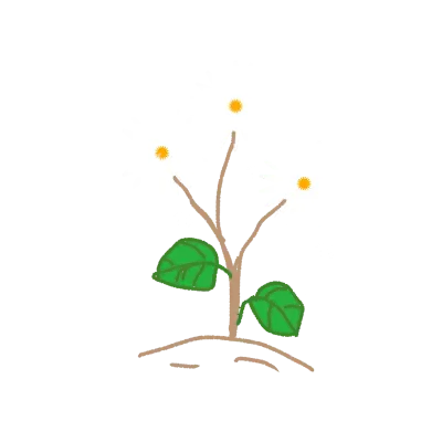white flower