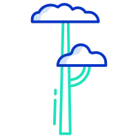 tree icon