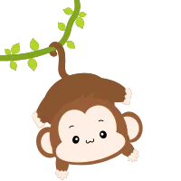Monkey hanging
