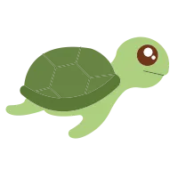 Flat Colorfull turtle