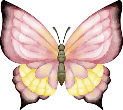 pink butterfly clip art