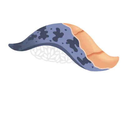 Japanese Eel Sushi