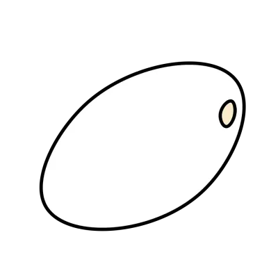 밥알