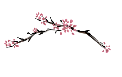 일식일러스트