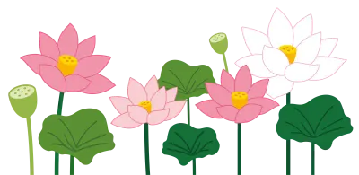 연꽃일러스트