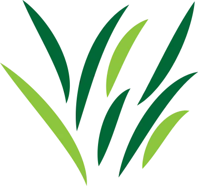 Green Grass Logo, Nature Plant Vector, Agriculture Leaf Simple Design, Template Icon Illustration
