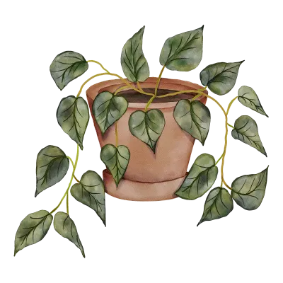 Watercolor House Plant Illustration