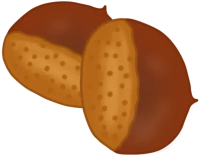 밤