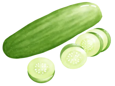 Cucumber