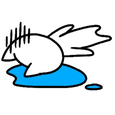 해맑은 힌냥이