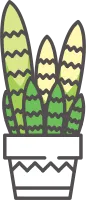 Sansevieria in pot icon