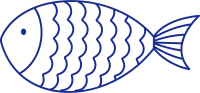 Outline Fish