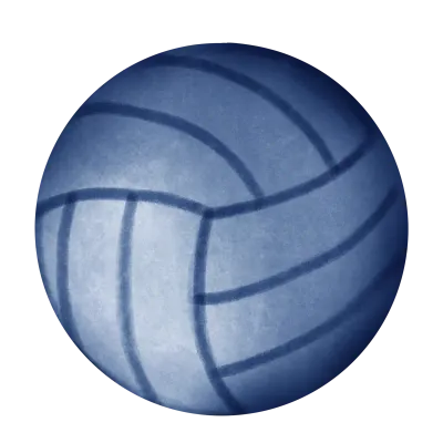 Volley ball